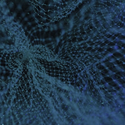 Warehouse Management